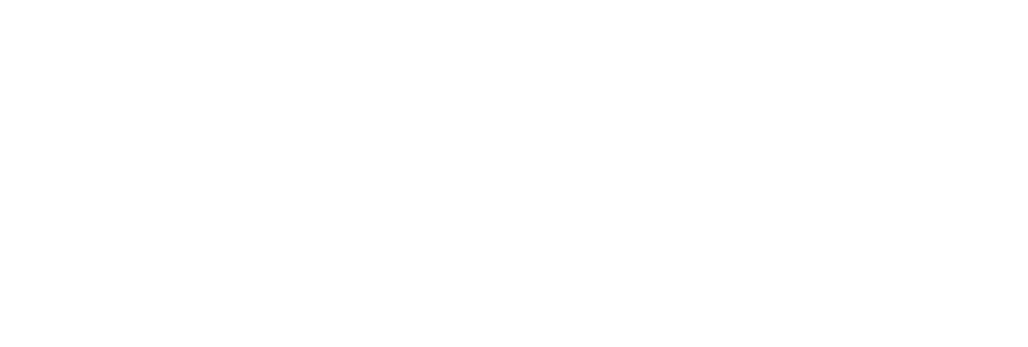 logo - wide - white